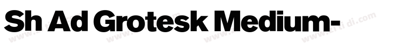 Sh Ad Grotesk Medium字体转换